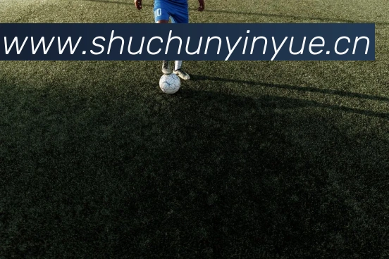 星空官网免费入口平台生态图