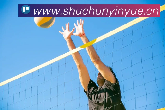 星空官网免费入口全站App